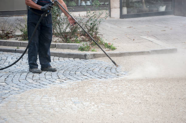 Best Warehouse Cleaning  in Trappe, MD